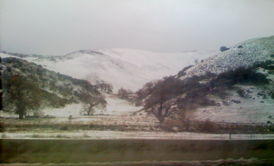 grapevine grapevine
